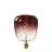 Calex Kiruna Marron LED E27 Filament 5W 130lm - 818 Extra Warm White | Dimmable