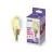 WiZ Smart LED E14 Candle Filament Gold 5W 370lm | Best Colour Rendering - Dimmable - Replaces 25W
