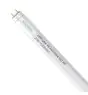 Noxion LED Tube T8 Avant Extreme (HF) High Output 20W 3100lm - 865 Daylight | 150cm - Replaces 58W