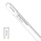 Noxion LED Tube T8 Avant (EM/Mains) Standard Output 7.5W 900lm - 840 Cool White | 60cm - Replaces 18W