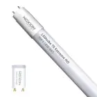 Noxion LED Tube T8 Avant Extreme (EM/Mains) High Output 8.2W 1150lm - 865 Daylight | 60cm - Replaces 18W