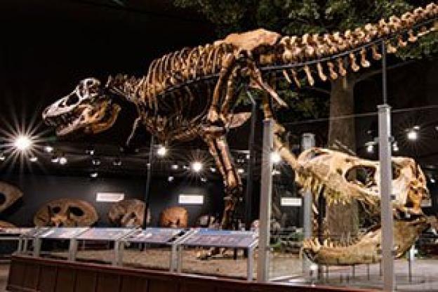 LED lights for museums