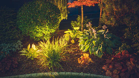Lighting of flower beds